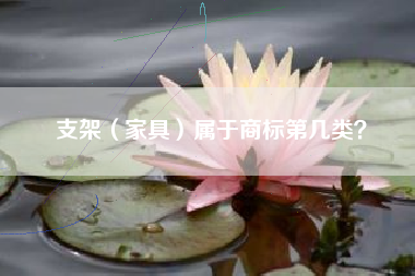 支架（家具）属于商标第几类？