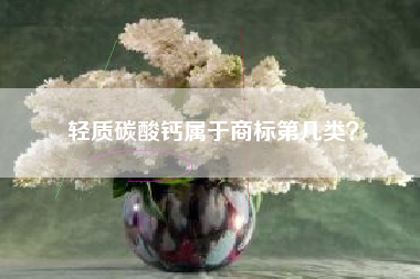 轻质碳酸钙属于商标第几类？