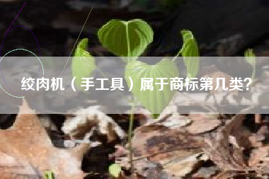 绞肉机（手工具）属于商标第几类？