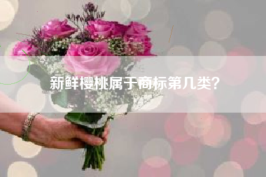 新鲜樱桃属于商标第几类？