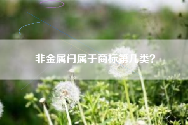 非金属闩属于商标第几类？