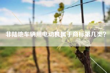 非陆地车辆用电动机属于商标第几类？