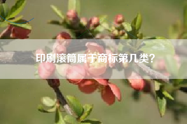 印刷滚筒属于商标第几类？