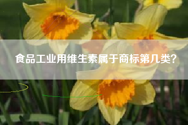 食品工业用维生素属于商标第几类？