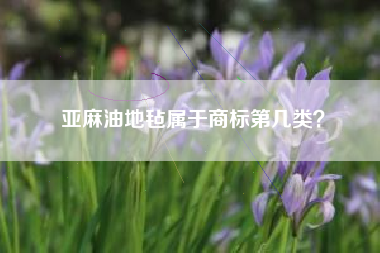 亚麻油地毡属于商标第几类？