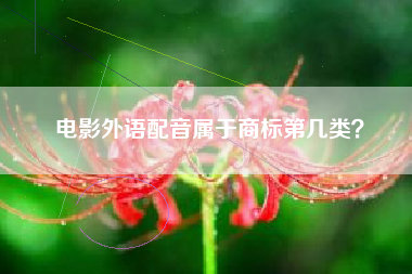 电影外语配音属于商标第几类？