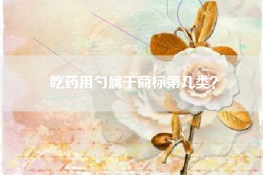 吃药用勺属于商标第几类？