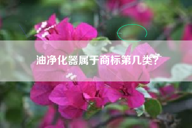 油净化器属于商标第几类？