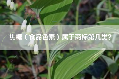 焦糖（食品色素）属于商标第几类？