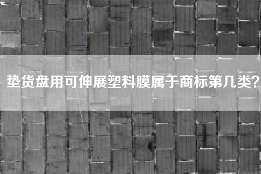 垫货盘用可伸展塑料膜属于商标第几类？