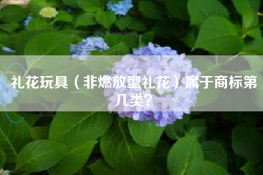 礼花玩具（非燃放型礼花）属于商标第几类？