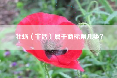 牡蛎（非活）属于商标第几类？