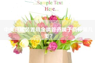 中央供暖装置用金属管道属于商标第几类？
