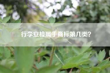 行李安检属于商标第几类？