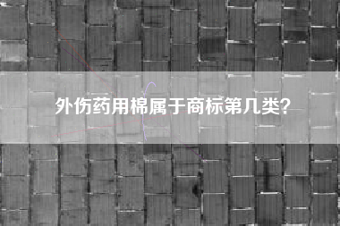 外伤药用棉属于商标第几类？