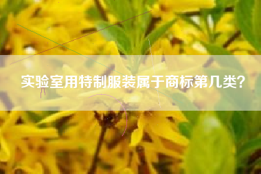实验室用特制服装属于商标第几类？
