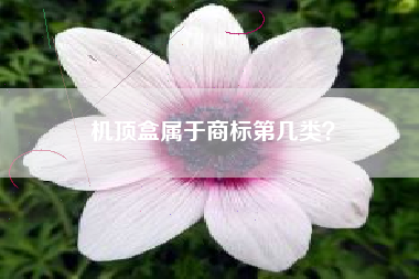 机顶盒属于商标第几类？