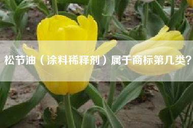松节油（涂料稀释剂）属于商标第几类？