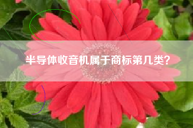 半导体收音机属于商标第几类？