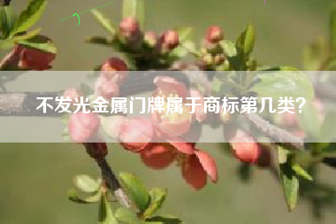 不发光金属门牌属于商标第几类？