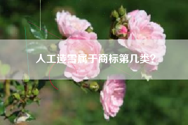 人工造雪属于商标第几类？