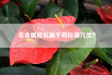 非金属屋瓦属于商标第几类？