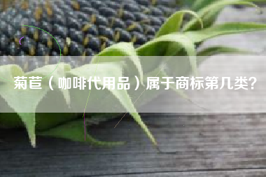 菊苣（咖啡代用品）属于商标第几类？