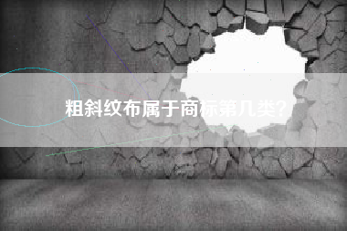 粗斜纹布属于商标第几类？