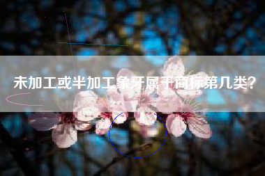未加工或半加工象牙属于商标第几类？
