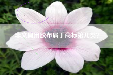 非文具用胶布属于商标第几类？