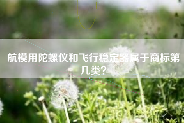 航模用陀螺仪和飞行稳定器属于商标第几类？