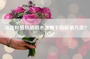 浇花和植物用喷水器属于商标第几类？
