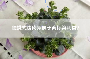 便携式烤肉架属于商标第几类？