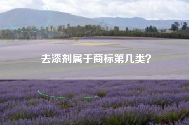 去漆剂属于商标第几类？