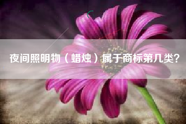 夜间照明物（蜡烛）属于商标第几类？