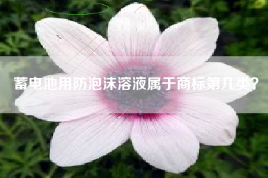蓄电池用防泡沫溶液属于商标第几类？