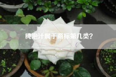 腌泡汁属于商标第几类？