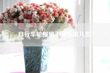 自行车轮圈属于商标第几类？