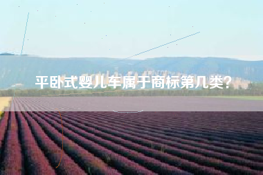 平卧式婴儿车属于商标第几类？