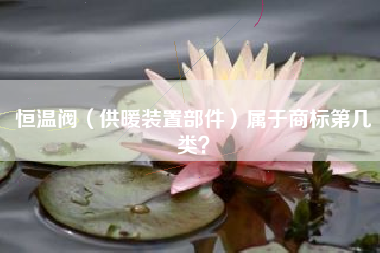 恒温阀（供暖装置部件）属于商标第几类？