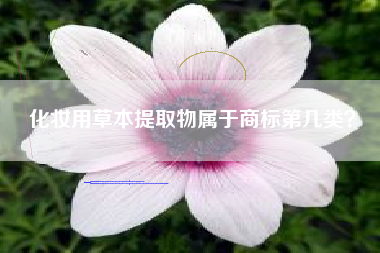 化妆用草本提取物属于商标第几类？