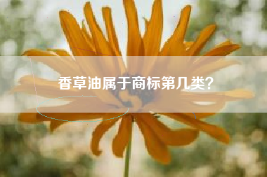 香草油属于商标第几类？