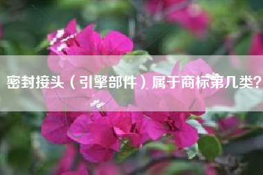 密封接头（引擎部件）属于商标第几类？