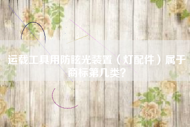 运载工具用防眩光装置（灯配件）属于商标第几类？