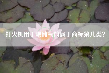 打火机用丁烷储气筒属于商标第几类？