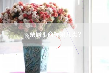 票属于商标第几类？