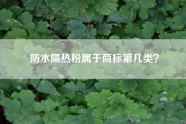 防水隔热粉属于商标第几类？
