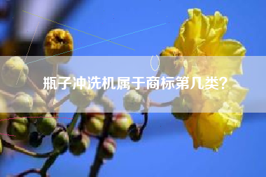 瓶子冲洗机属于商标第几类？