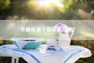 木桶板属于商标第几类？