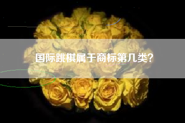国际跳棋属于商标第几类？